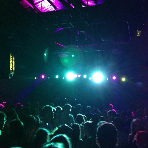 Monkey Safari - Roule (GC Animal Blend)