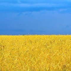 Гімн України на гітарі