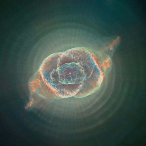 Bedroom Astronomy