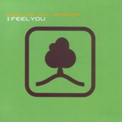 Schiller I Feel U (Dub Mix)