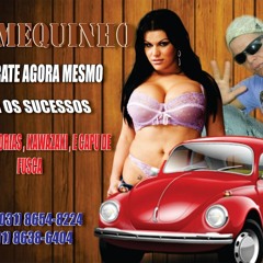 Mc Mequinho varias historias estudio f2000 twister dj