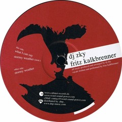 Fritz Kalkbrenner & Dj Zky - What I can say