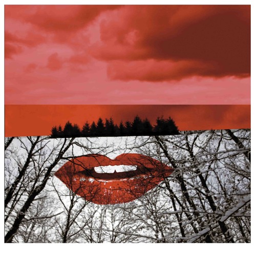 Museum Of Love - Down South