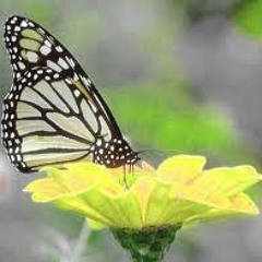 Yo Fui Creado Para Contener A Dios