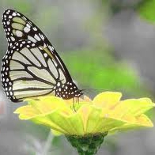 Yo Fui Creado Para Contener A Dios