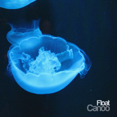 Canoo - Float EP - 03 Unbend