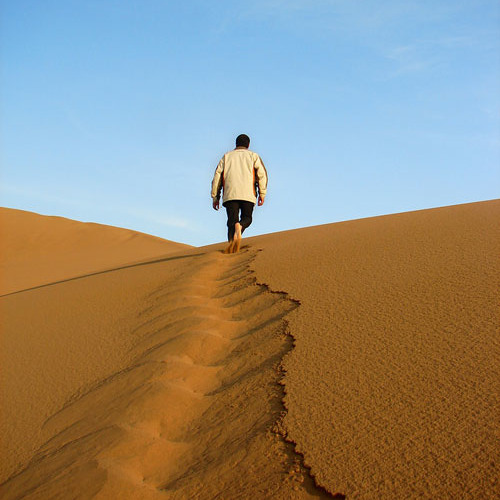 A Desolate Escape