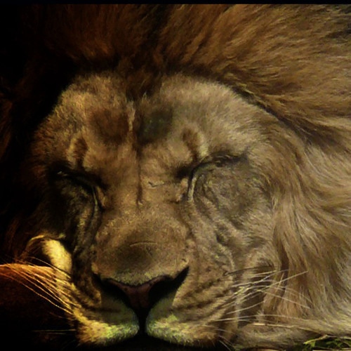 Change (Deftones Cover) by Amarante (GAB3 REMIX)