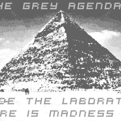 Inside The Laboratory There is Madness