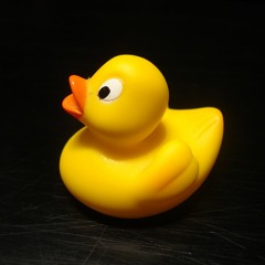 Bukez Finezt - Duck trumpet VIP (LMF beatjuggling)