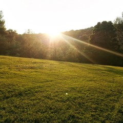 Big Tax Refund Coming  at Bingham Park