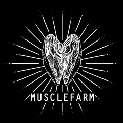 Musclefarm @ Symphonica Elektronica Festival - 23-02-2013