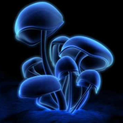1200 Micrograms - I like the way you Move!