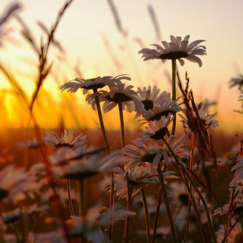 Wonderfull Chill Out Music Love Session