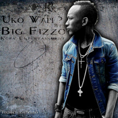 Uko Wapi By Big Fizzo (Kora Entertainment)