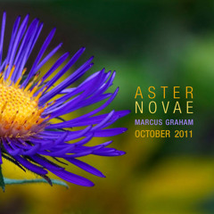 Marcus Graham - Aster Novae - 2 hour Tech House mix