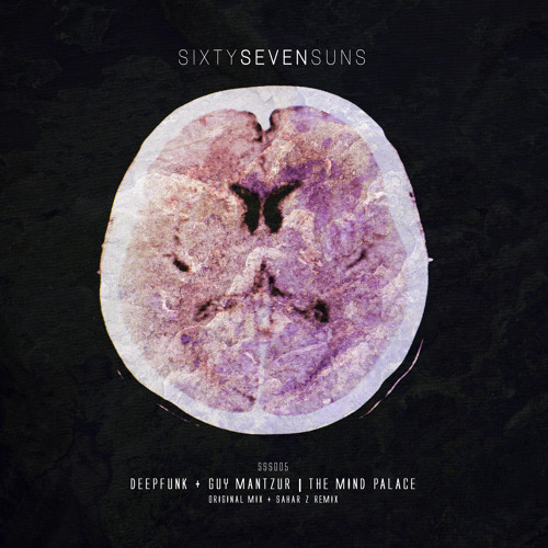 Deepfunk & Guy Mantzur - The Mind Palace (Sahar Z remix) preview