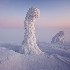 Frozen