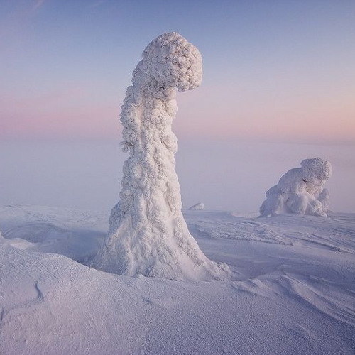 Frozen