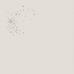 In Silenzio - NIENT'ALTRO CHE MACERIE