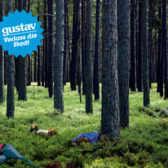 Gustav - Total Quality Woman