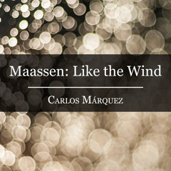 Dirk Maassen: Like the Wind