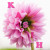 Artwork for KASIH PASTI LEMAH LEMBUT (Nikita)