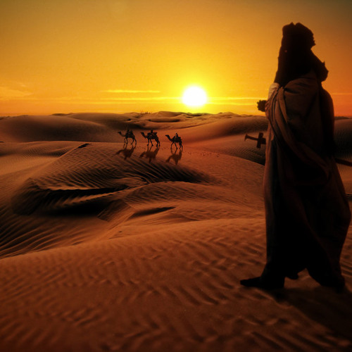 Tune of Soul - Camels (Zauberakustik Remix)