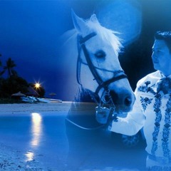 Por amor MARIACHI VARGAS COVER CESAR MORALES