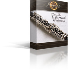Bass Clarinet Jazz Solo