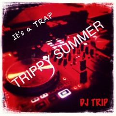 TRIPPY SUMMER 2013 - DJ TRIP