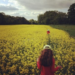 I can't help falling in love with you (live)