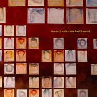 Nine Inch Nails - Came Back Haunted