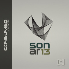 Basic Guy - Rhythm Am (Original Mix) V.A. Sonar13