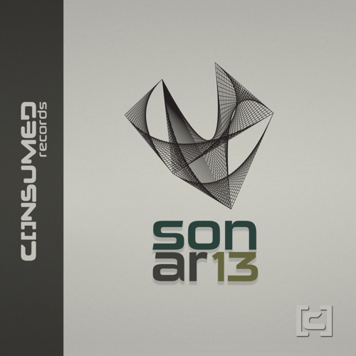 Basic Guy - Rhythm Am (Original Mix) V.A. Sonar13
