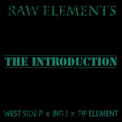 Raw Elements : The Introduction