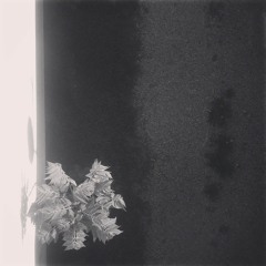 fo¢us (super drums)