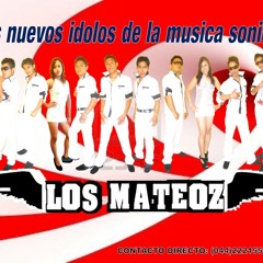 PERRA SOLEDAD GRUPO LOS MATEOZ