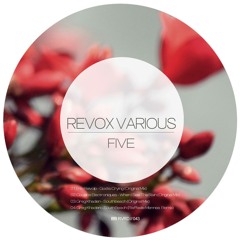 Cousins Electroniques - When I See The Rain (Original Mix) - REVOX RECORDS