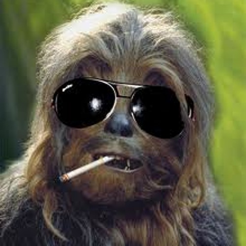 chewbacca sunglasses