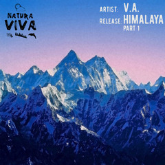 Djose ElenKo, Eric Montero - Dream Of More (Original Mix) Natura Viva