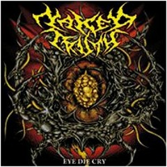 Naked Truth - Penjilat