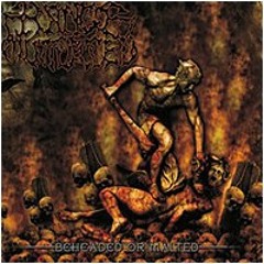 Range Of Mutilated - Unperfect Melted