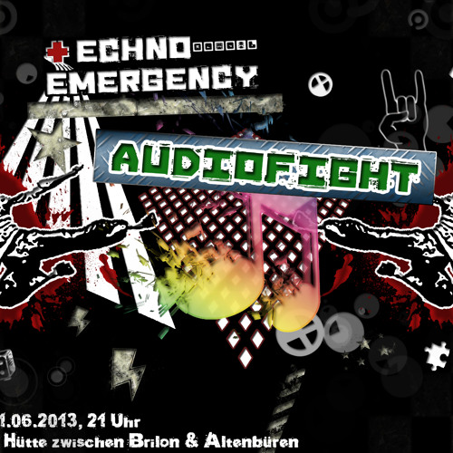 Luup @ Techno Emergency - Audiofight, Reermanns Hütte Brilon  01.06.2013