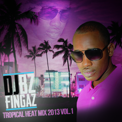 Tropical Heat Mix 2013