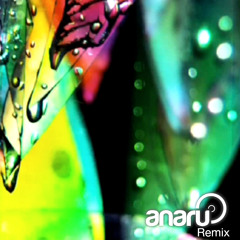 Bon Iver - Minnesota (anaru 'Missy' Remix)