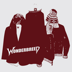 Wonderbreed - Hermit Kingdom