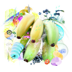 Stival & Banza - Zeider (Original Mix) - OUT NOW on Acid Fruits