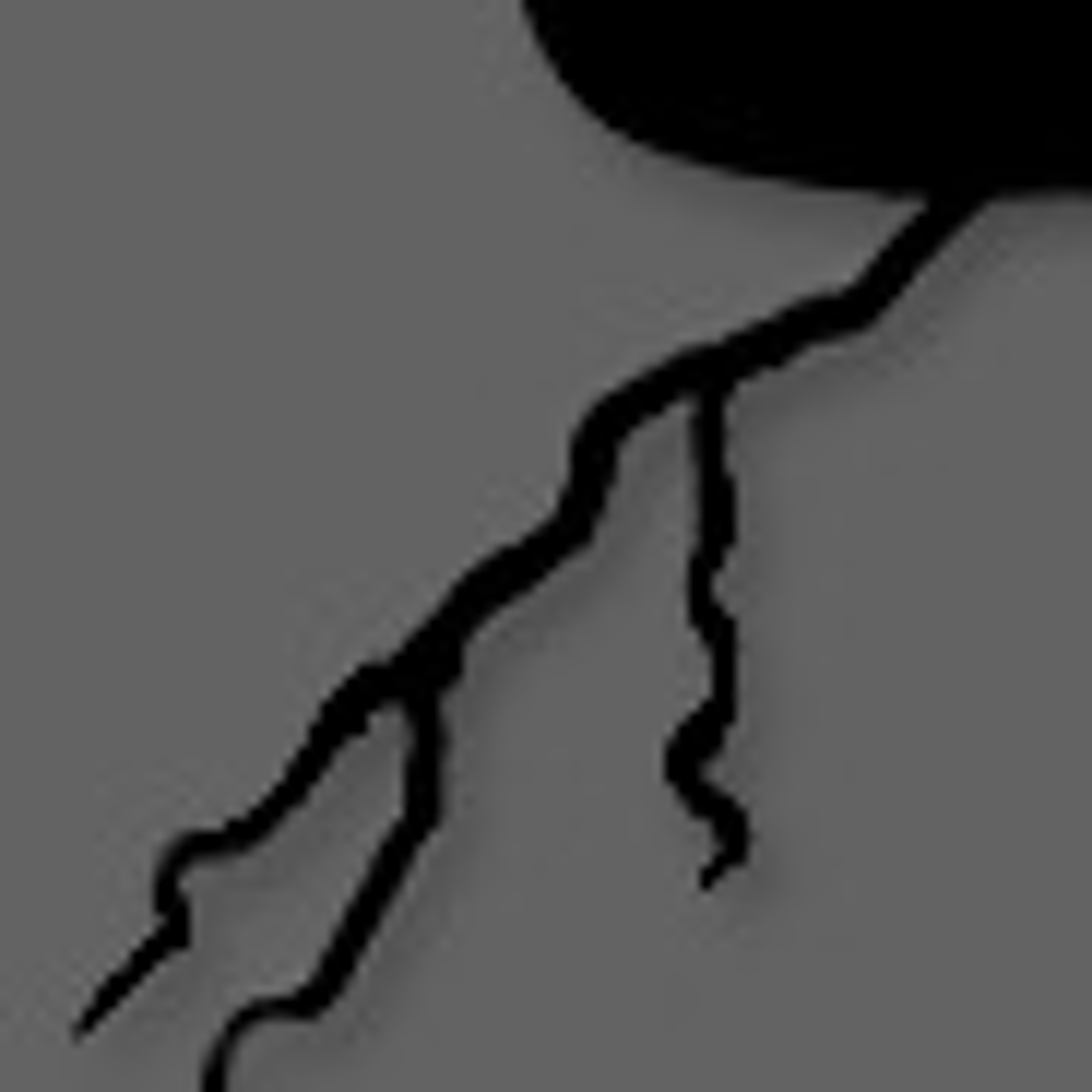 Loving and Hating Noir Loving and Hating Noir