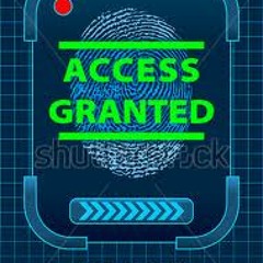 Access Granted-Chronixx